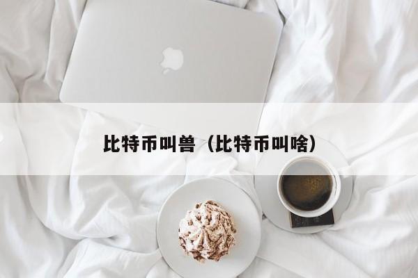 比特币叫兽(比特币叫啥)