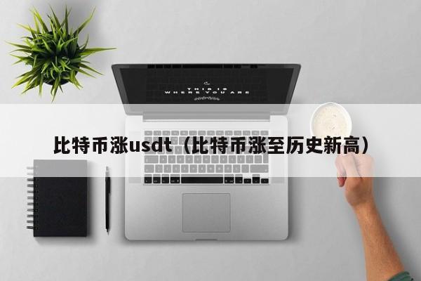 比特币涨usdt(比特币涨至历史新高)