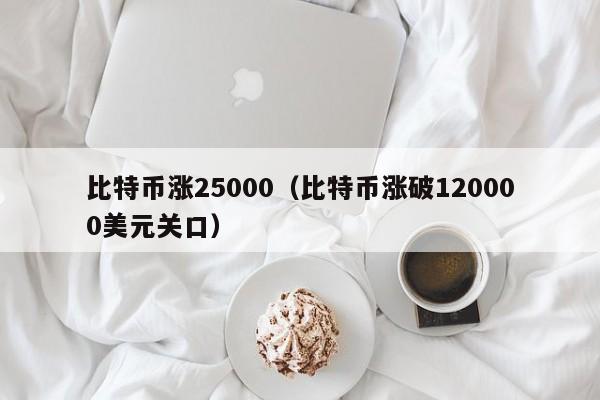 比特币涨25000(比特币涨破120000美元关口)