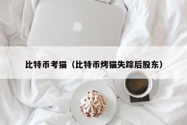 比特币考猫(比特币烤猫失踪后股东)
