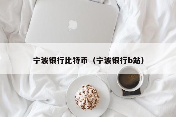 宁波银行比特币(宁波银行b站)