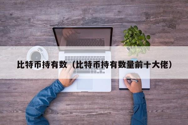 比特币持有数(比特币持有数量前十大佬)