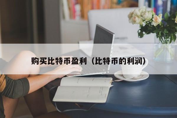 购买比特币盈利(比特币的利润)